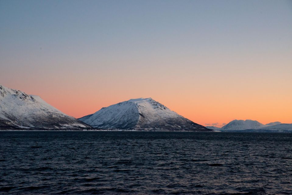 Fjord Photo Tour - Wildlife and Photography