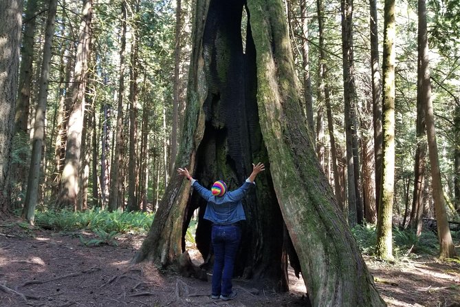 Francis King Regional Park Forest Bathing  - Vancouver Island - Additional Information and Reviews