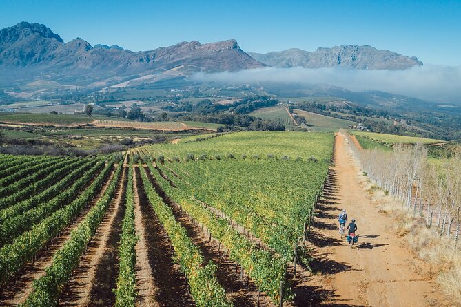 Franschhoek Sip & Cycle Experience Full Day - Private Tour - End Point Logistics and Transportation