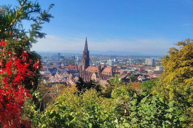Freiburg - Historic Walking Tour - Tour Starting Point and Experience