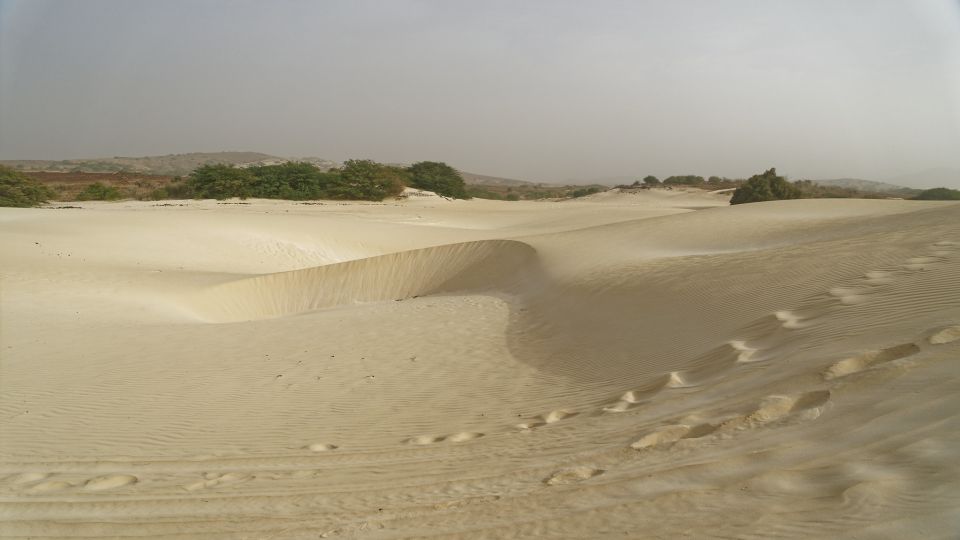 From Agadir: 44 Jeep Desert Safari With Lunch and Pickup - Tour Inclusions for Desert Adventure