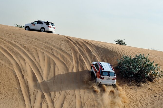 From Agadir or Port Trip to Small Sahara of Massa and Tiznit With Lunch - Customer Reviews