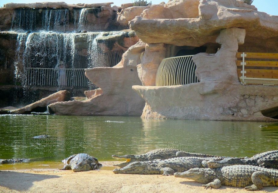 From Agadir or Taghazout: Crocoparc Trip With Entry Ticket - Free Cancellation Policy