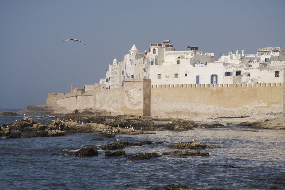 From Agadir or Taghazout : Essaouira Guided Day Trip - Navigating Your Way to Essaouira