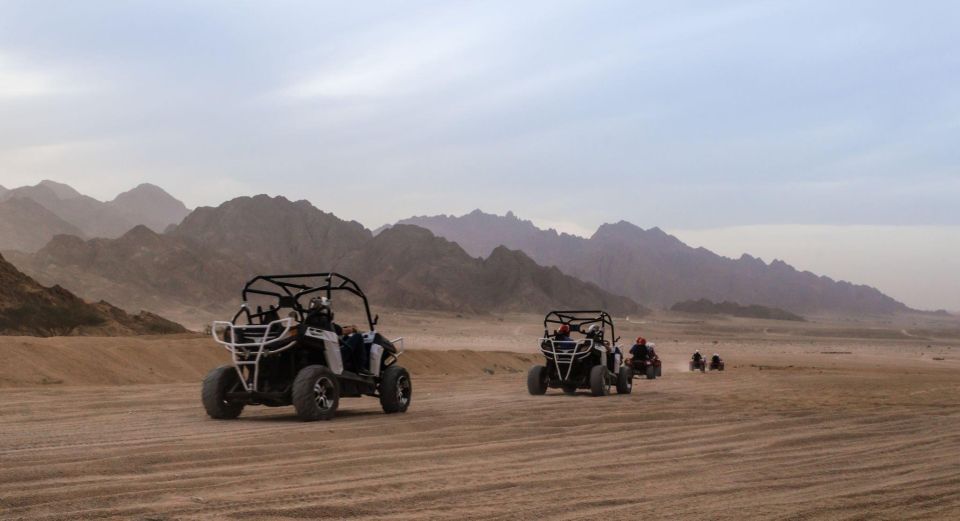 From Agadir: Sahara Desert Buggy Tour With Snack & Transfer - Safety Measures and Equipment