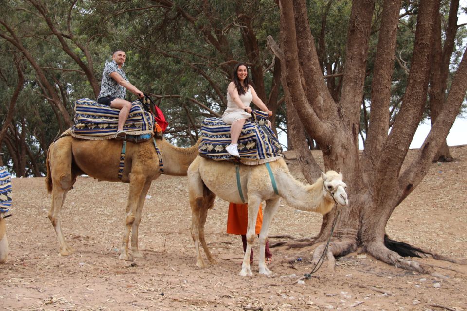 From Agadir/Taghazout: Camel Ride With Tea and Flamingos - Additional Information