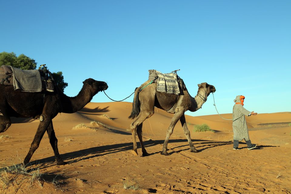 From Agadir/Taghazout: Sahara Sand Dunes With Transfer - Tour Itinerary