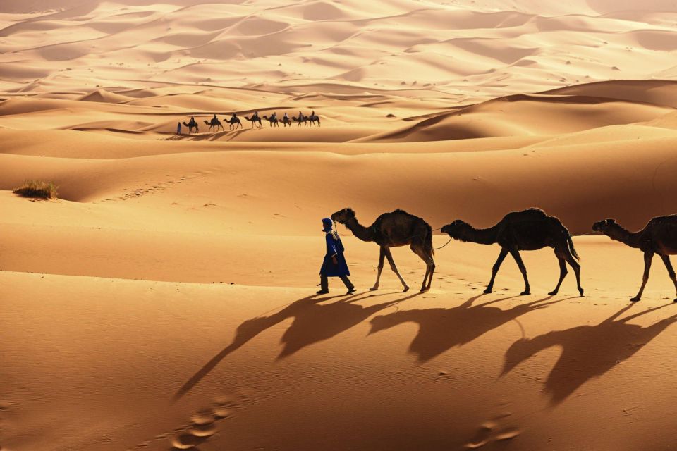 From Agadir/Taghazout: Sahara Sand Dunes With Transfer - Location and Transfer