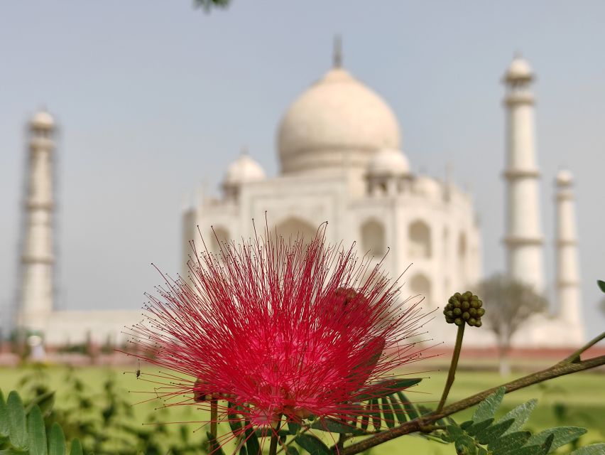 From Agra: Taj Mahal & Agra Local Sightseeing By Tuk Tuk - Additional Information and Tips