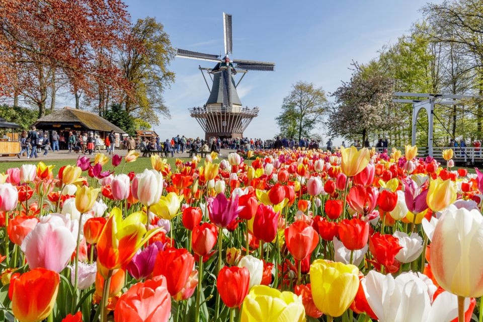 From Amsterdam: Keukenhof and Dutch Countryside Tour - Additional Information