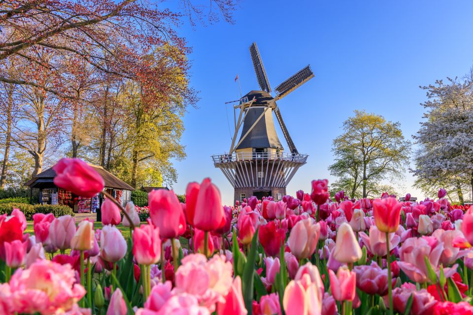 From Amsterdam: Keukenhof Flower Park Transfer With Ticket - Participant Selection and Information