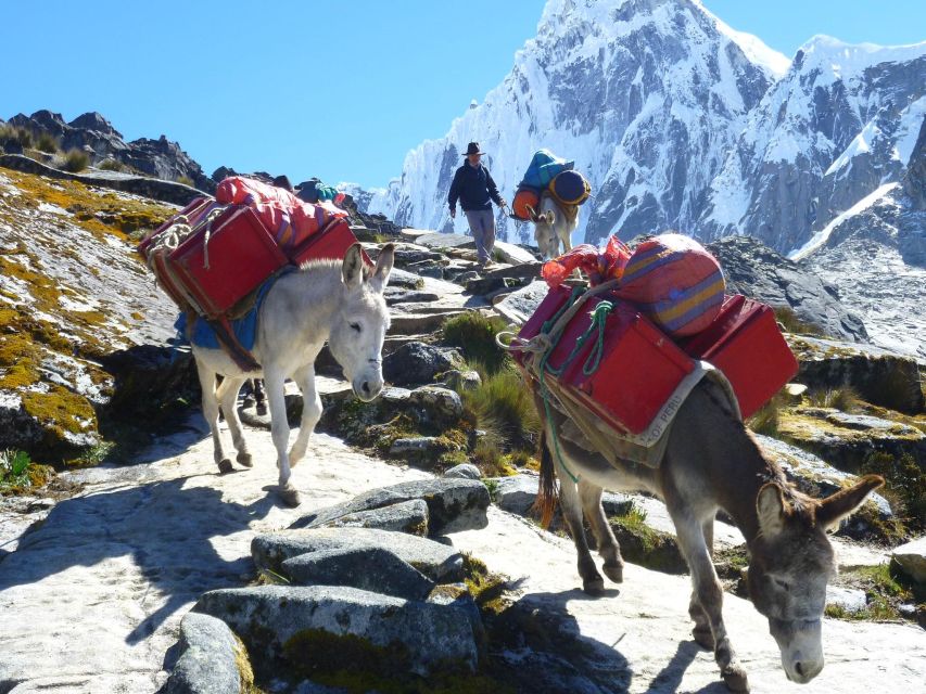 From Ancash: Trekking Santa Cruz Alpamayo 11Days-10Nights - Last Words