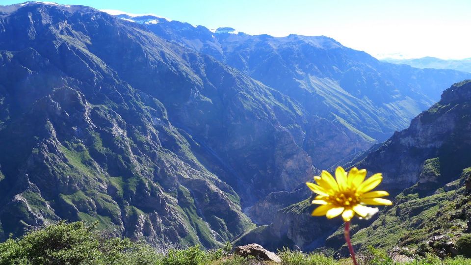 From Arequipa: 3-day Colca Canyon Hike Tour Adventure - Common questions