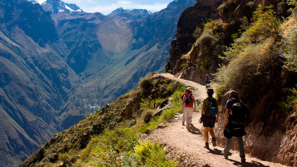 From Arequipa: Full Day Colca Canyon Tour - Inclusions
