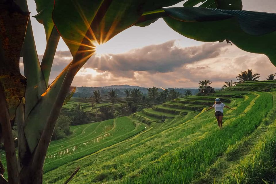 From Bali : Spectacular Waterfall of North Bali - Experiencing Banyumala Waterfall and Swimming