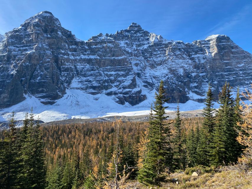 From Banff or Lake Louise: Moraine Lake & Larch Valley Hike - Common questions