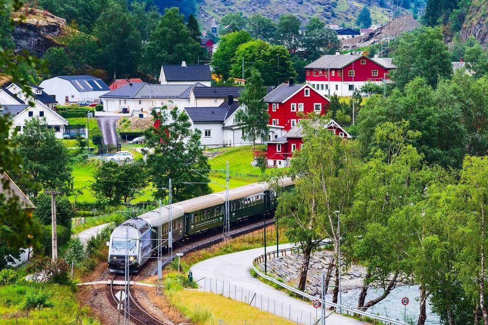 From Bergen: Flam Full-Day Cruise to Sognefjord - Customer Reviews