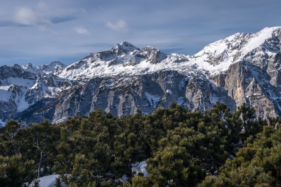 From Bled: Day Trip to Julian Alps & Hiking With Local Guide - Privacy Settings