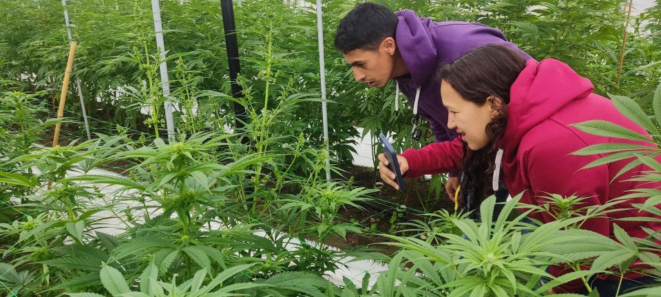 From Bogota: Tour to a Marihuana Organic Farm. - Common questions