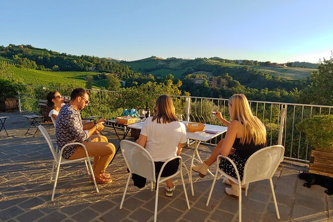 From Bologna: Wine Tasting and Vineyard Tour With the Winemaker - Cancellation Policy Details