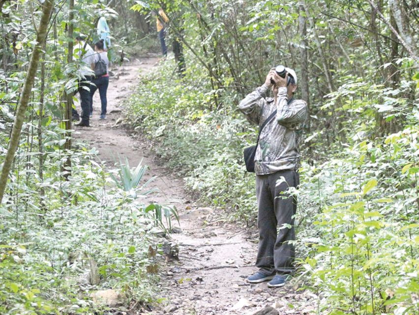 From Campeche: Miguel Colorado Cenotes Tour