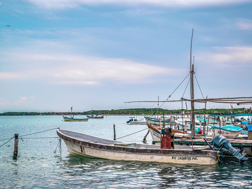 From Cancun: Las Coloradas and Río Lagartos Day Tour - Customer Ratings and Reviews