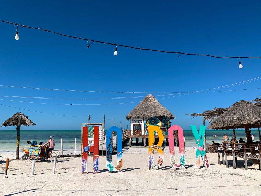From Cancun or Puerto Morelos: Holbox Boat Tour With Lunch - Review Summary