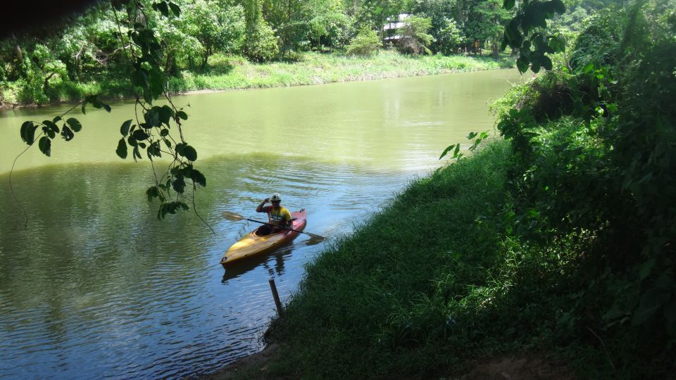 From Chiang Mai: Mae Taeng Forest Full-Day River Kayaking - Review Details