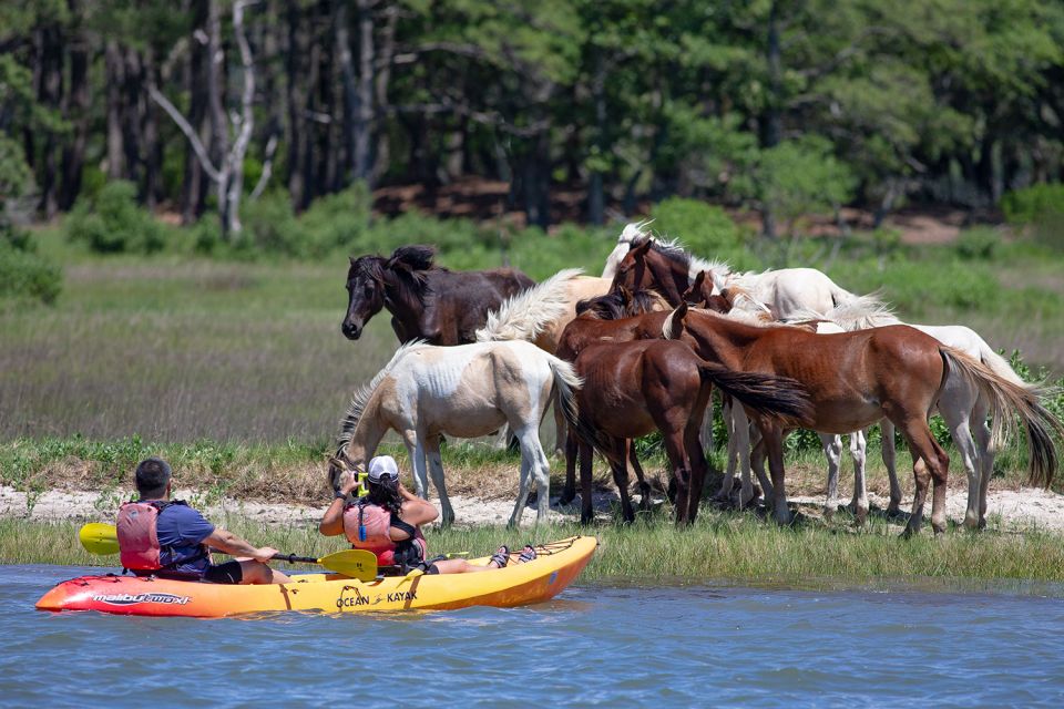 From Chincoteague: Guided Kayak Tour to Assateague Island - Additional Details