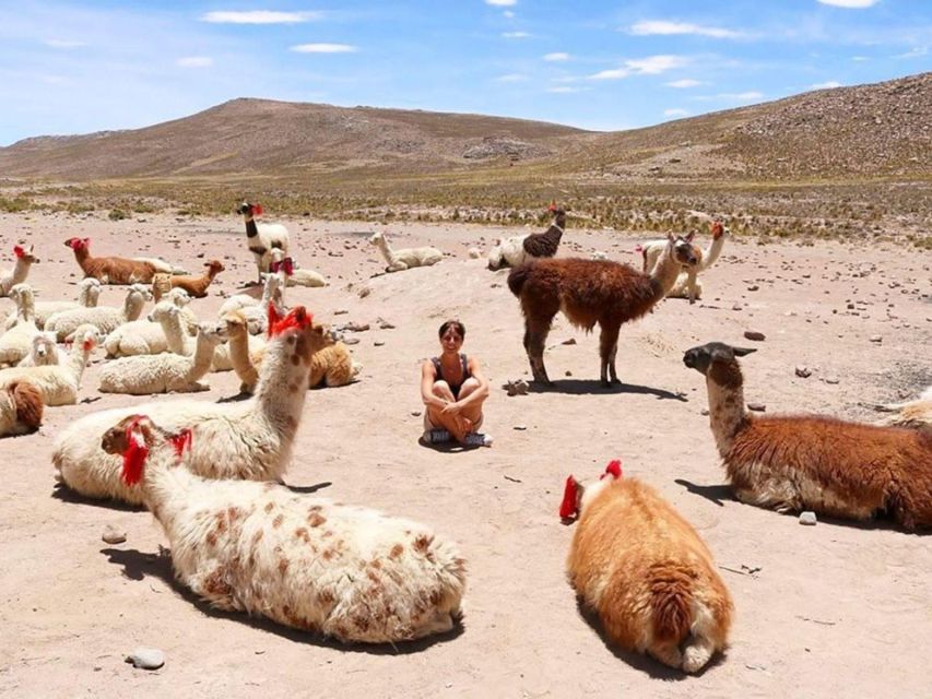 From Chivay: Route From Chivay (Colca) to the City of Puno - Arrival in Puno