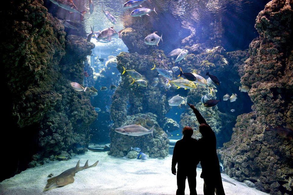 From City of Side: Antalya Aquarium Full-Day Trip - Last Words