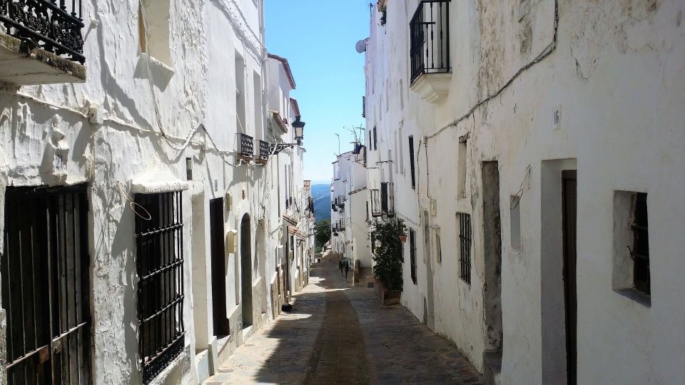 From Costa Del Sol: Casares Private Tour - Full Tour Description