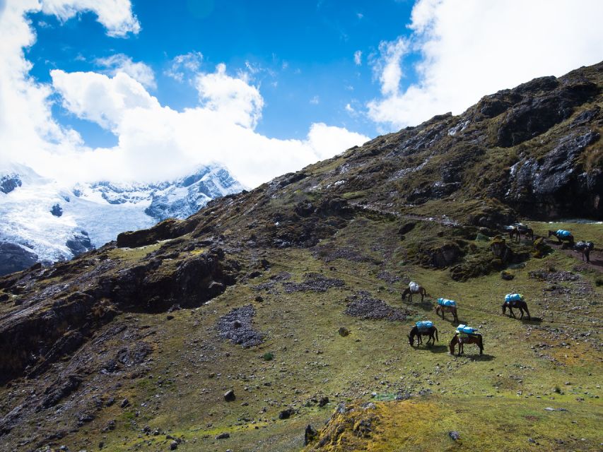 From Cusco: 4-Day Alternative Lares Trail to Machu Picchu - Overall Experience
