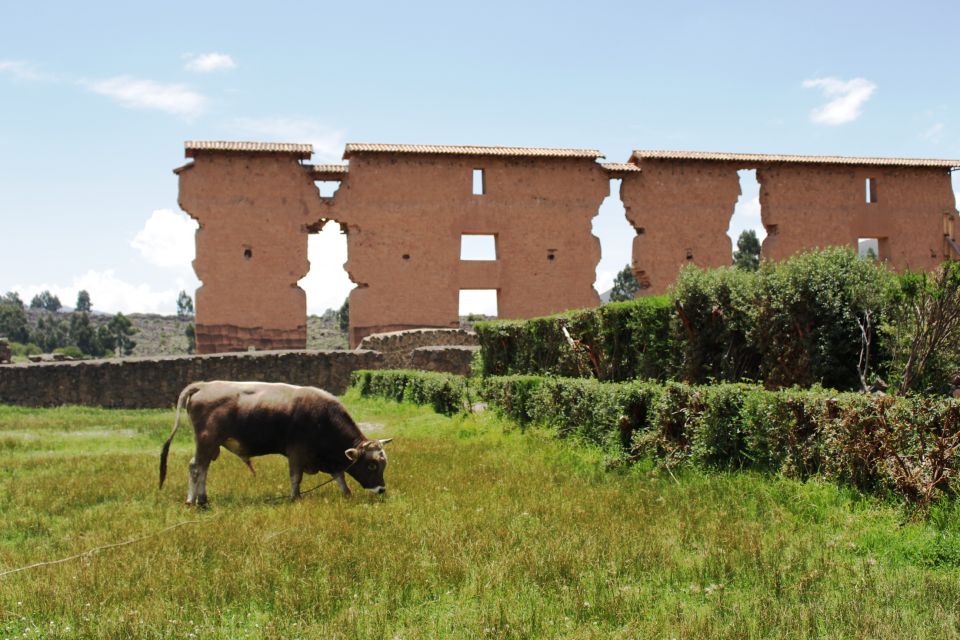 From Cusco: Cusco to Puno Shuttle & Guided Tour W/Box Lunch - Practical Information