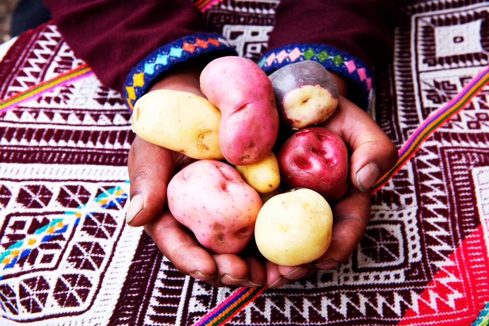 From Cusco: Indigenous Potato Farm Cultural Experience - Directions