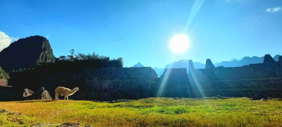 From Cusco: Machu Picchu Tour With Hiking Ticket - Customer Reviews