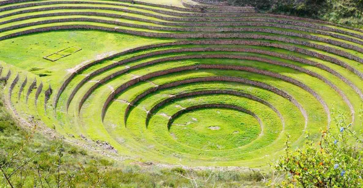 From Cusco: Maras and Moray and Ollantaytambo Tour - Customer Review