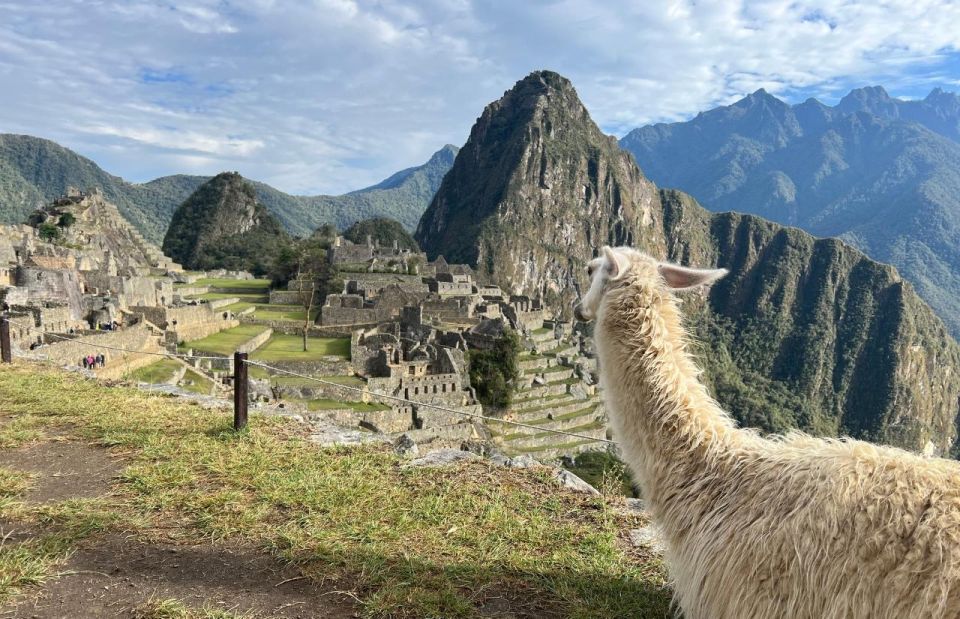 From Cusco: Private Tour of Machu Picchu by Vistadome Train - Cancellation Policy