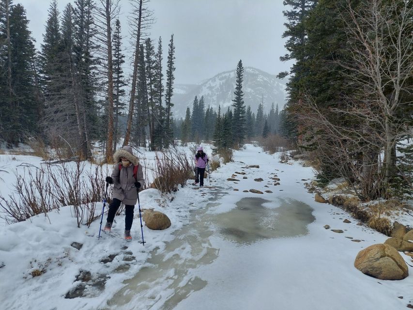 From Denver: Snowshoeing in Rocky Mountains - Reviews