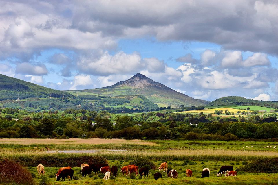 From Dublin: Wicklow Mountains, Glendalough & Kilkenny Tour - Customer Reviews