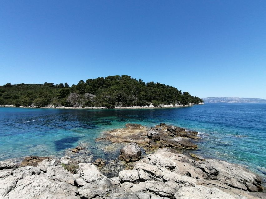 From Dubrovnik: Mljet National Park & 3 Islands Tour - Last Words