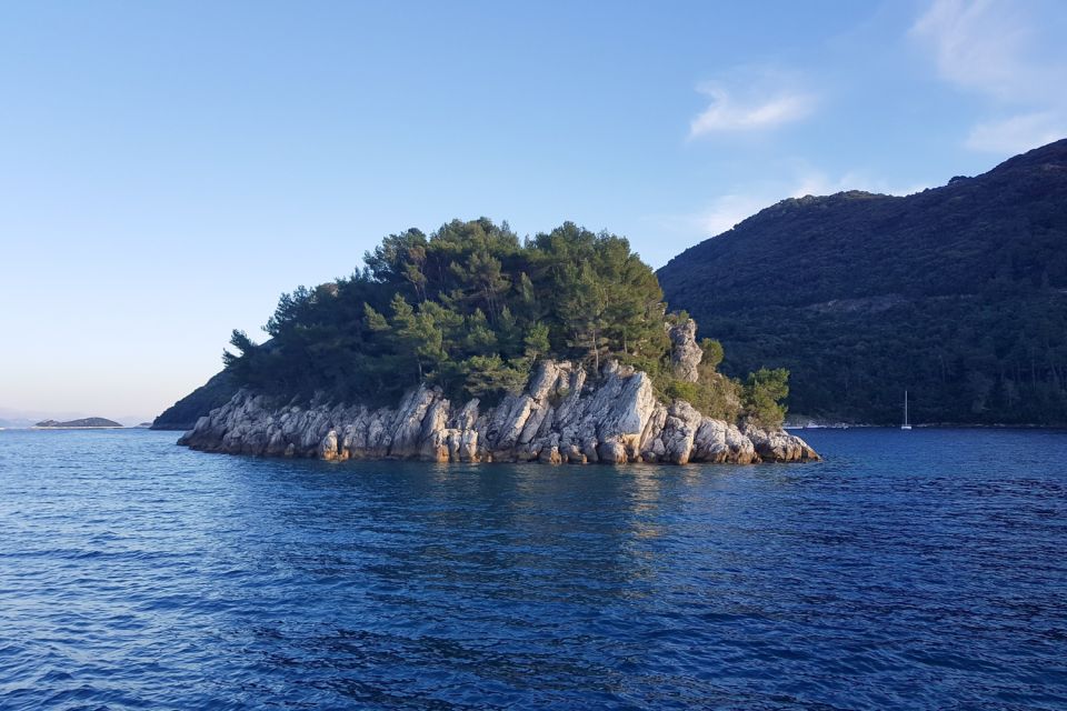 From Dubrovnik: Private Speedboat Cruise to Mljet - Traveler Reviews