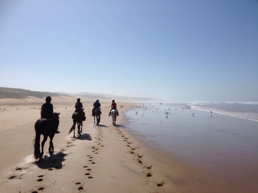 From Essaouira: 1-Hour Horse Ride With Sunset - Directions