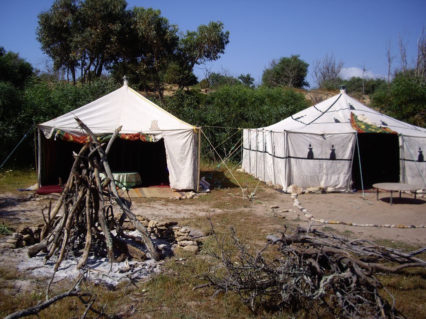 From Essaouira: Camel Tour With Overnight Stay in a Tent - Activity Highlights