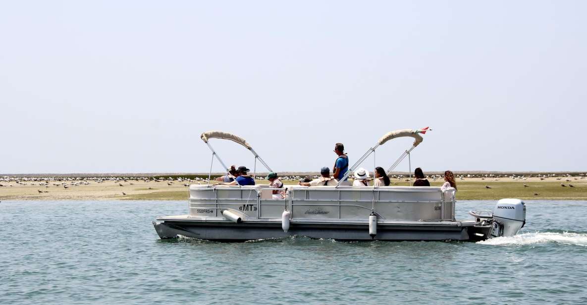From Faro: 2-Hour Guided Bird Watching Boat Trip - Reserve Now & Pay Later Benefits