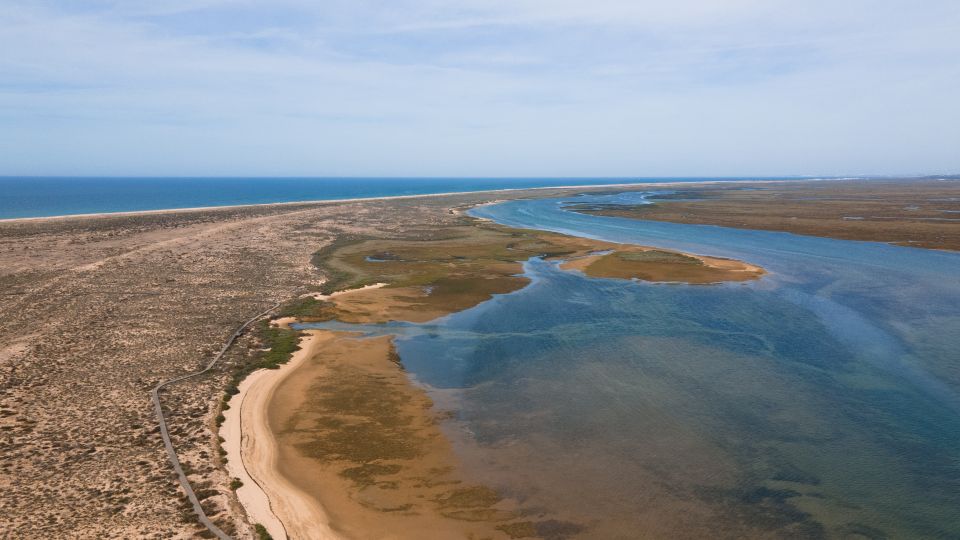 From Faro: Ria Formosa Eco Tour Guided by Marine Biologist - Visits to Ilha Deserta and Cabo Santa Maria