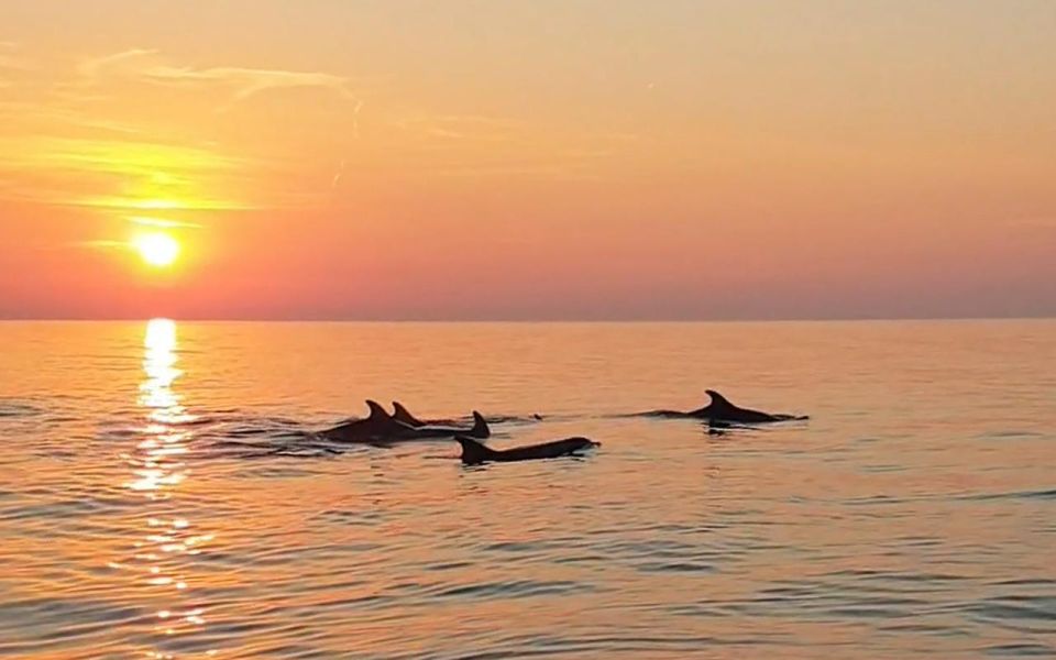 From Fazana: Private Dolphin Search & Sunset Cruise - Booking Information