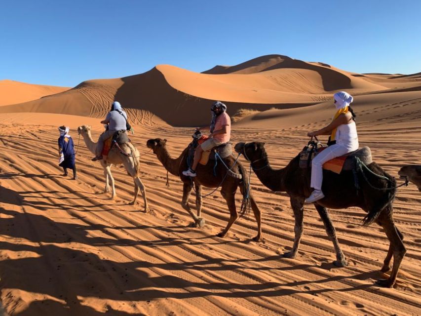 From Fes: 3 Days To Marrakech Via Desert - Last Words