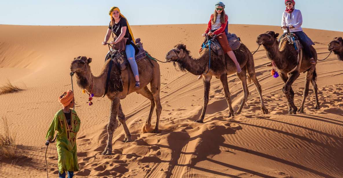 From Fez: 2-Days Desert Tour to Marrakech via Merzouga - Customer Reviews