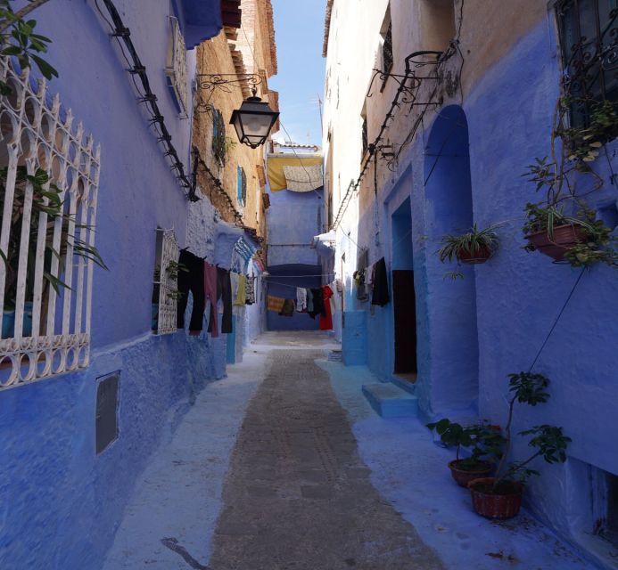 From Fez: Chefchaouen Guided Day Tour - Logistics and Additional Information